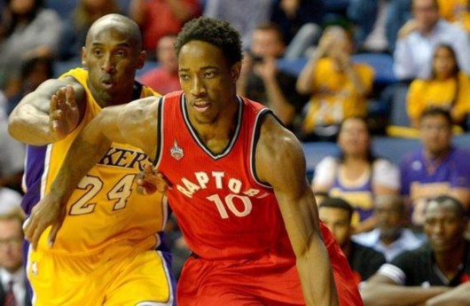 搜索流量贡 搜索流量贡