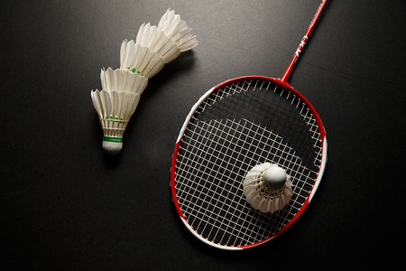 森林狼则以 森林狼则以